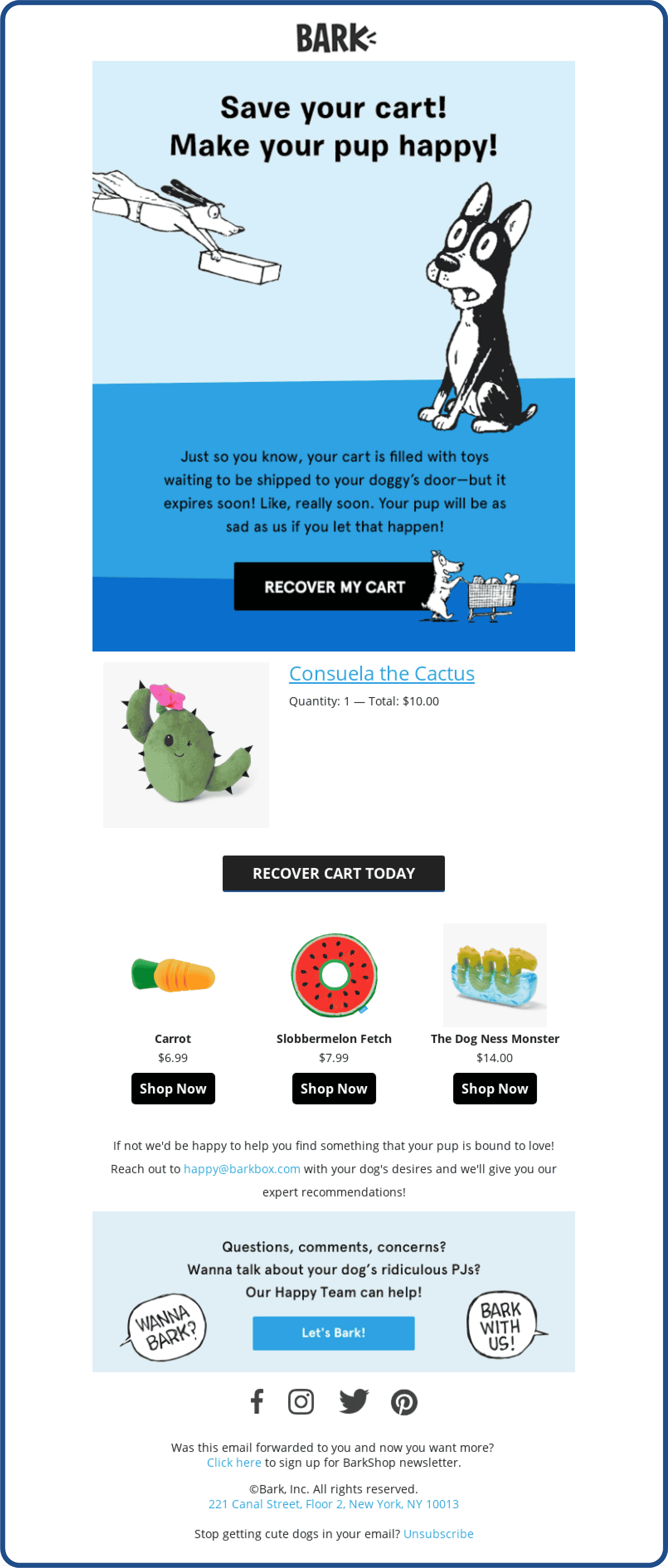 Abandoned cart email example from Barkshop