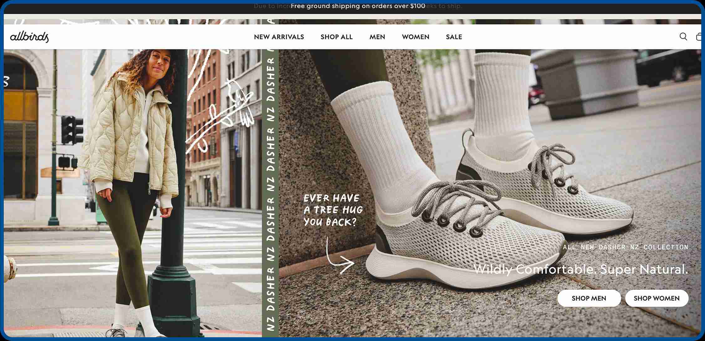 Allbirds sustainable footwear brand known for natural materials like merino wool and eucalyptus tree fiber