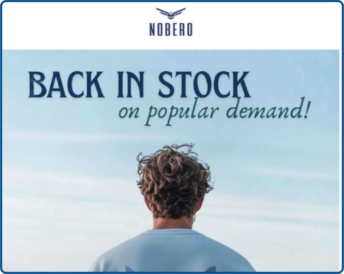  Back in stock email example from Nobero